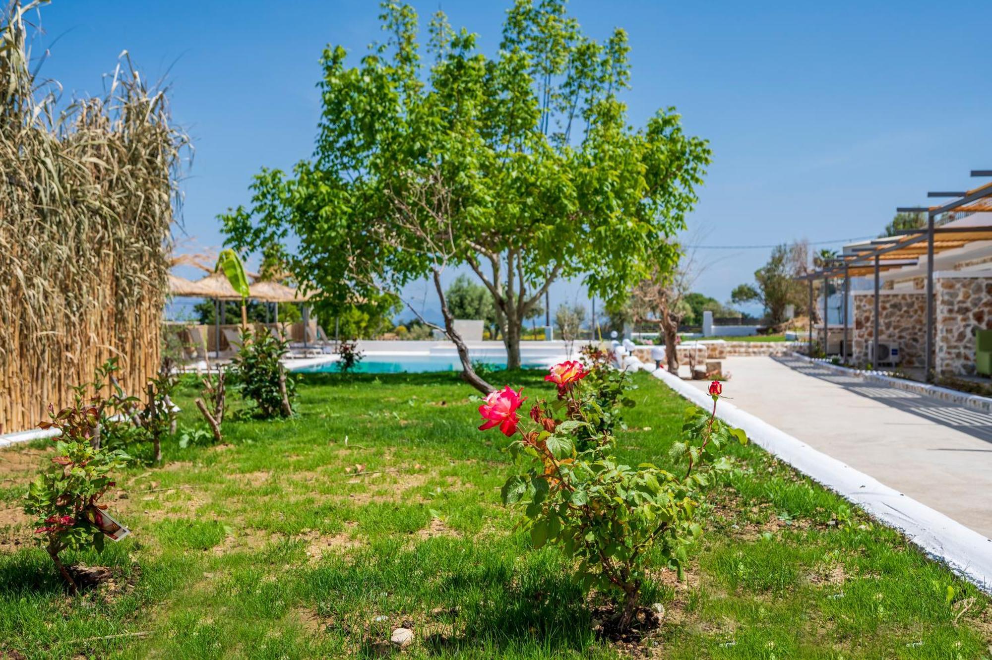 Homes Eva'S Garden, Poolside Cozy Havens In Kos Agios Dimitrios  Exterior foto